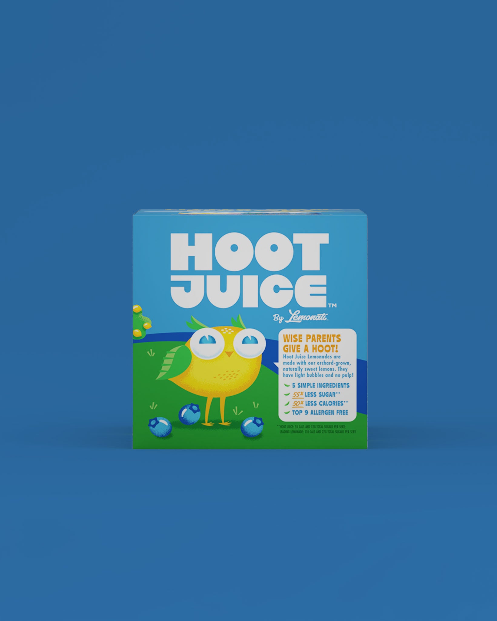 Hoot Juice Blueberry Lemonade