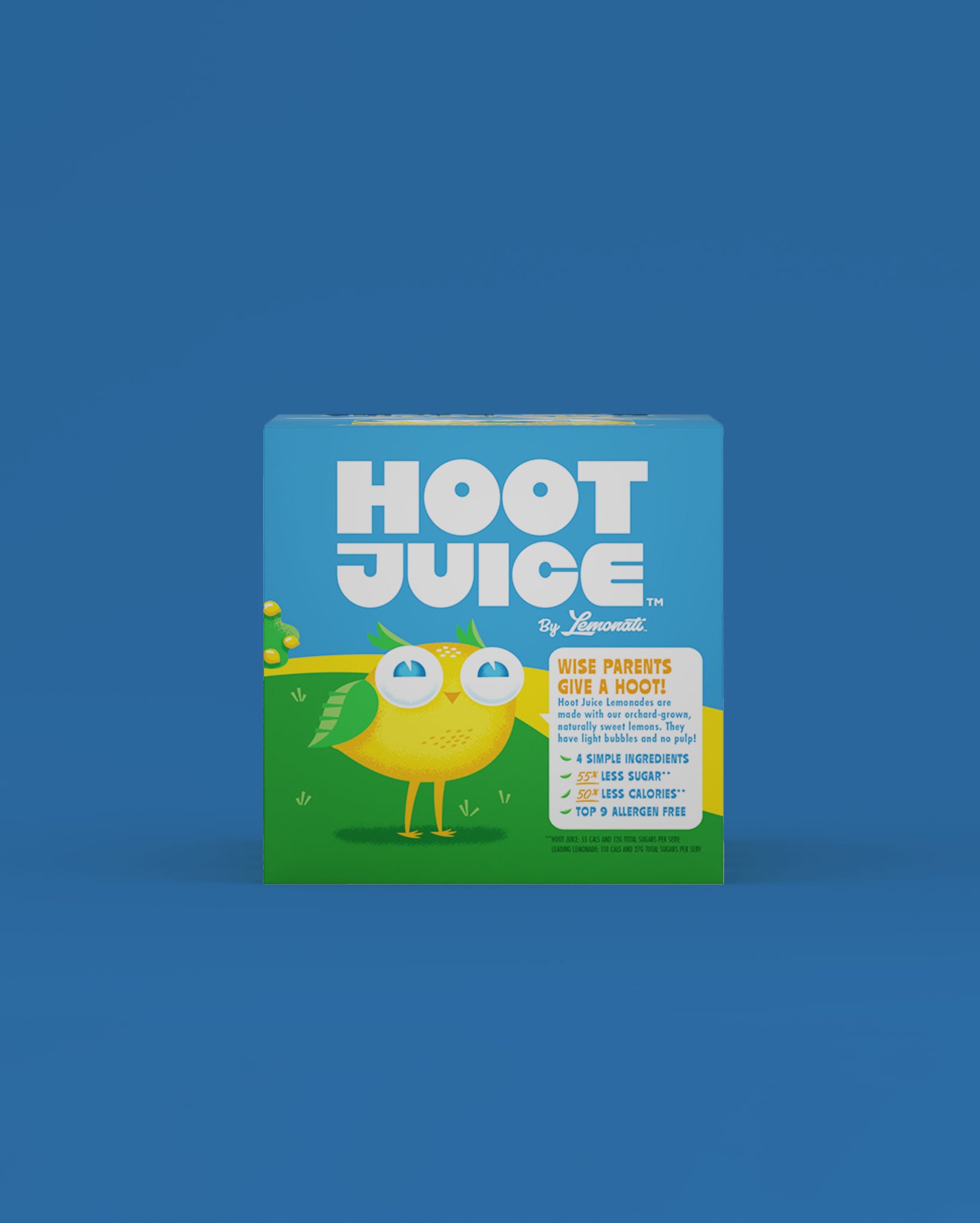 Hoot Juice Original Lemonade